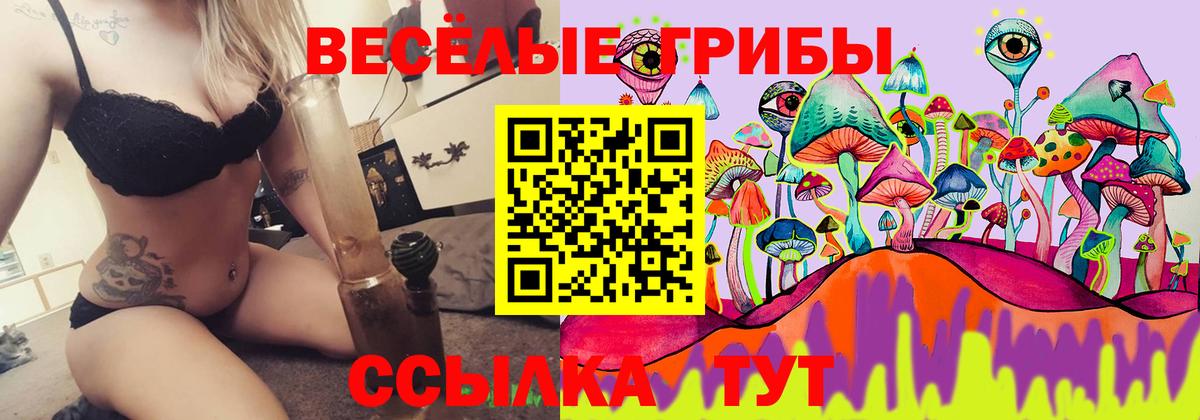 Тосно  Псилоцибиновые грибы мухоморы  Вход с VPN 