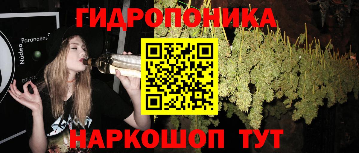 Тосно  Конопля планчик  Канабис Bruce Banner  Вход с VPN 